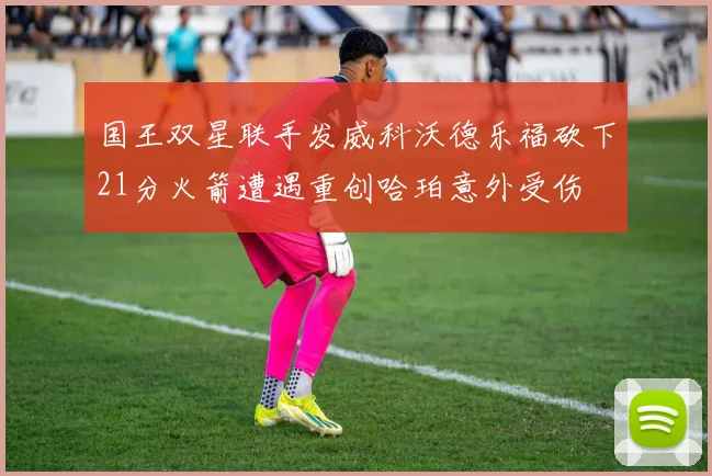 国王双星联手发威科沃德乐福砍下21分火箭遭遇重创哈珀意外受伤