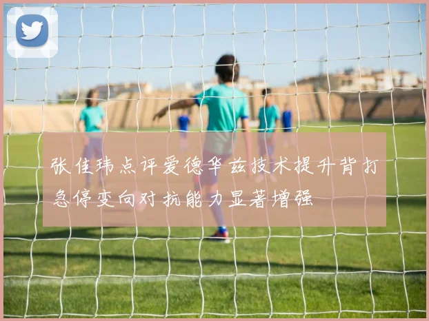 张佳玮点评爱德华兹技术提升背打急停变向对抗能力显著增强
