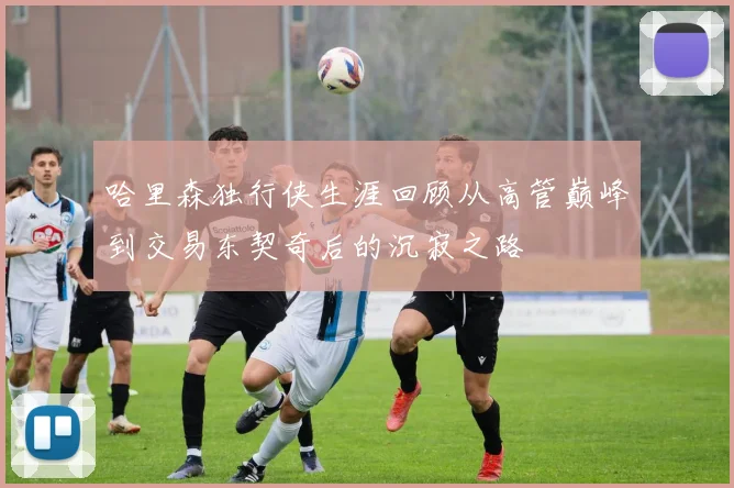 哈里森独行侠生涯回顾从高管巅峰到交易东契奇后的沉寂之路