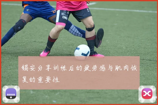 锡安分享训练后的疲劳感与肌肉恢复的重要性