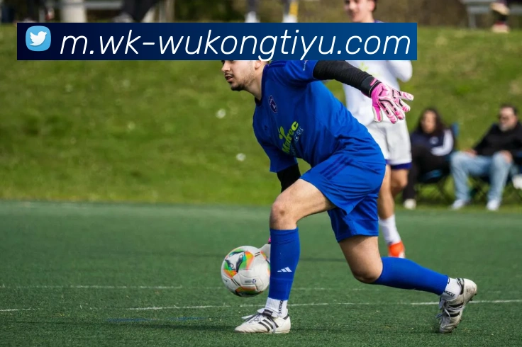 悟空体育平台生态图