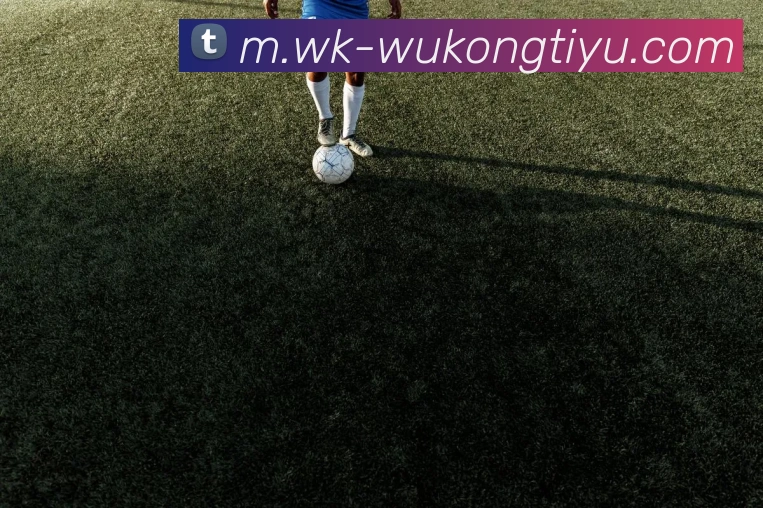 悟空体育APP 封面图