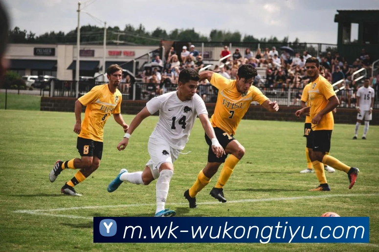 数据防护可视化