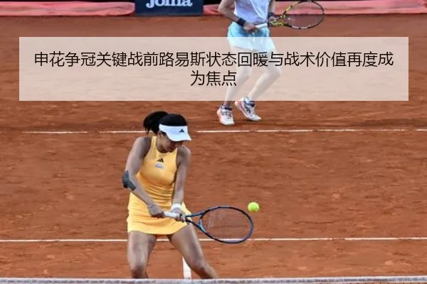 申花争冠关键战前路易斯状态回暖与战术价值再度成为焦点 - WukongSports